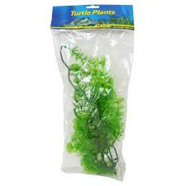 Lucky Reptile Turtle Plant